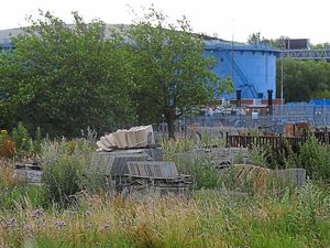 Supporting image for story: Firm under fire for illegal use of land