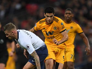 Supporting image for story: Wolves v Tottenham: The last five meetings