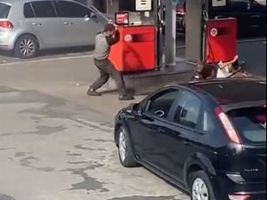 Supporting image for story: Almost 5,000 West Midlands dog attacks in the last five years 