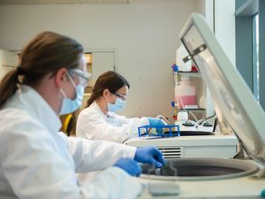 Supporting image for story: The pandemic’s problem solvers recognised in New Year Honours list