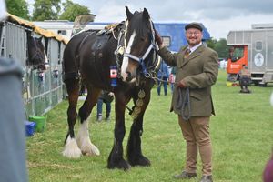 Rob Clarke and William the shire horse, from Northampton.