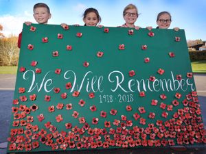 Supporting image for story: Broseley pupils create artwork of poppies to mark war centenary