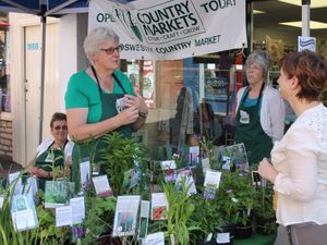 Supporting image for story: Speciality markets return to Oswestry