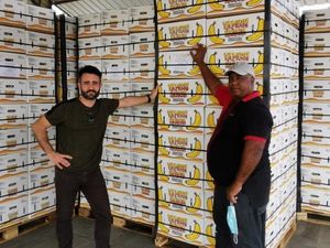 Supporting image for story: Telford-based international food trader eyes growth after £250,000 deal