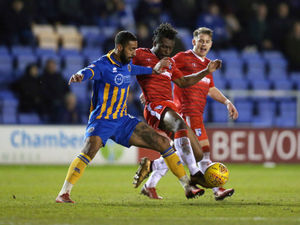 Supporting image for story: Highlights: Shrewsbury Town 1-1 Gillingham