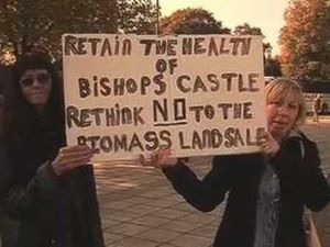 Supporting image for story: Bishop's Castle biomass plant could open within two years