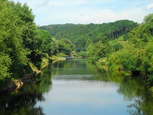 Supporting image for story: The river Wye will be in irreversibly worse condition within two years unless swift action is taken, politicians and regulators have been warned