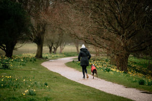 People are being told not to visit Attingham Park in Shrewsbury