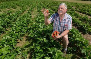 Shawbury Fruit Farm owner Brian Humphreys