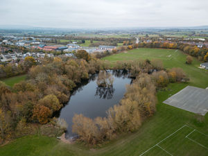 Supporting image for story: 'Worrying' fish deaths at Shrewsbury pool explained... and the innocent pursuit which 'may be a problem'