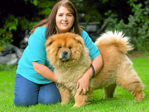 Supporting image for story: Charity plea to save loveable sick dog