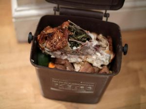 Supporting image for story: Households urged to recycle food waste