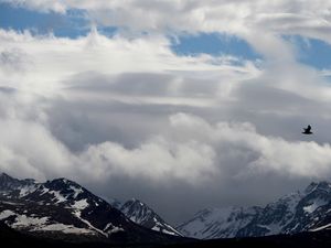 Supporting image for story: Woman attacked by bear while hiking in Alaska