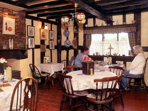 Supporting image for story: American team rates Shropshire tea room best in Britain