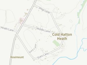 Supporting image for story: ‘They will be able to look through the hedge’ – Neighbour land dispute set to go public this week