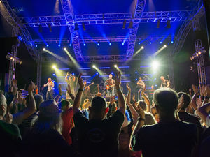 Supporting image for story: Virtual Shrewsbury Folk Festival to fill the void for fans