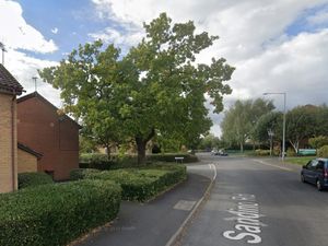 Supporting image for story: Telford planners refuse plan to chop down oak tree