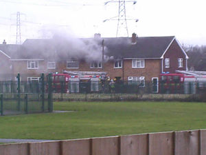 Supporting image for story: Snakes and tarantula saved from blaze in Moxley