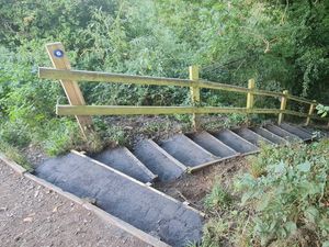 Supporting image for story: Repairs completed to make Shrewsbury woodland areas safer for walkers