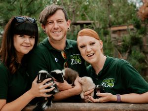 Supporting image for story: Exotic Zoo could reopen to public with four-acre site boasting restaurant and gift shop in Telford town park