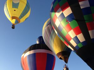 Supporting image for story: Balloon championships take off in Wyre Forest