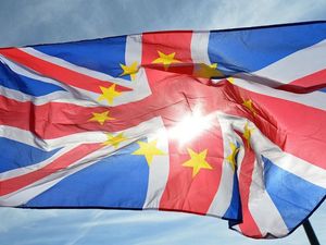 Supporting image for story: What is the EU customs union and does it prevent trade deals?