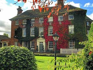 Supporting image for story: The Mytton and Mermaid: The Mermaid really makes a splash