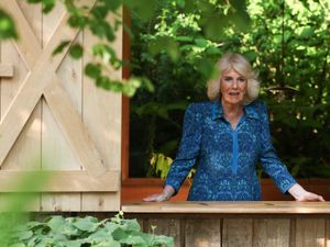Supporting image for story: Camilla makes Bridgerton admission during Chelsea Flower Show royal visit