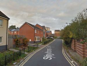 Supporting image for story