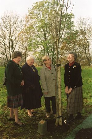 A tree being planted in Marsh Park, Brierley Hill