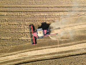 Supporting image for story: England sees second worst harvest on record, analysis shows