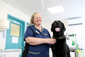 Principal nurse manager Fiona Scrimshaw with Buddy the dog