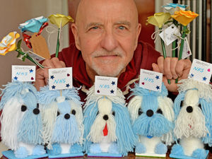 Supporting image for story: Walsall man creates origami roses and wool dogs for NHS workers