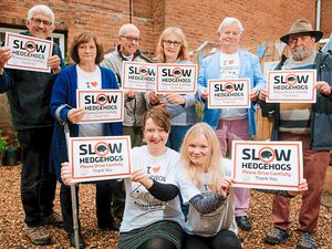 Supporting image for story: Signs going up in bid to reduce hedgehog road deaths around Ludlow