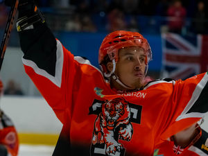 Supporting image for story: Watkins expects Telford Tigers to regroup and get stronger