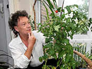 Supporting image for story: Police red-faced after tomatoes raid