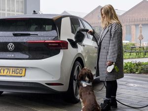 Supporting image for story: Dogs are more relaxed in EVs than diesel cars – study