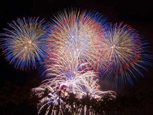 Supporting image for story: Bonfire night to be held at Worfield Village Hall