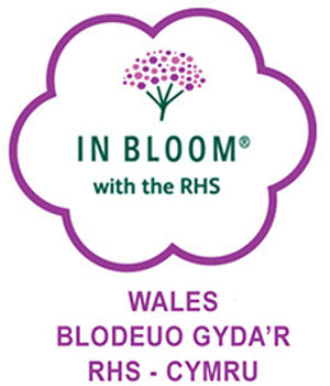 Knighton has submitted an application for this year’s Wales in Bloom competition