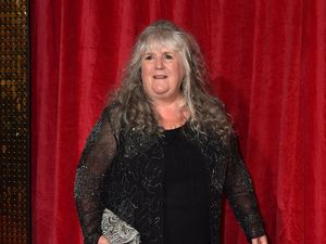 Supporting image for story