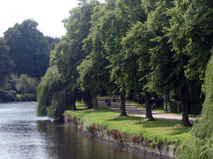 Supporting image for story: New solar lights to line River Severn in Shrewsbury's Quarry