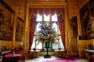 A magnificent display