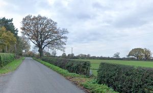 Permission is being sought to convert part of a grazing paddock in Rodington into a secure exercise area for dogs. Photo: Google