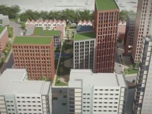 Supporting image for story: Brewers Yard: Wolves success 'can bring Chinese investment'