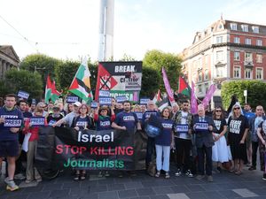 Supporting image for story: Killing of Al Jazeera staff in Gaza ‘silencing journalistic voices’ – Tanaiste