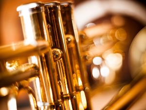 Supporting image for story: Dan Morris: The Horn of Plenty