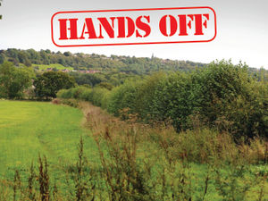 Supporting image for story: Seven Cornfields campaigners send strong message to developers