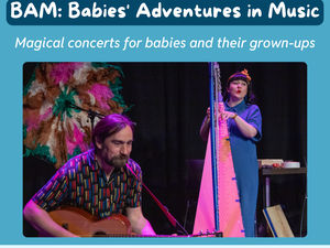 Supporting image for story: Concerts for babies in Wolverhampton connect families to services