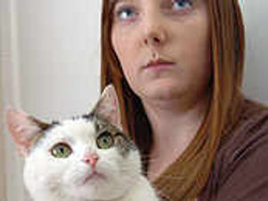 Supporting image for story: Cat is shot in attack