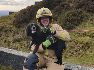 Supporting image for story: Firefighters rescue dog from 20ft hole